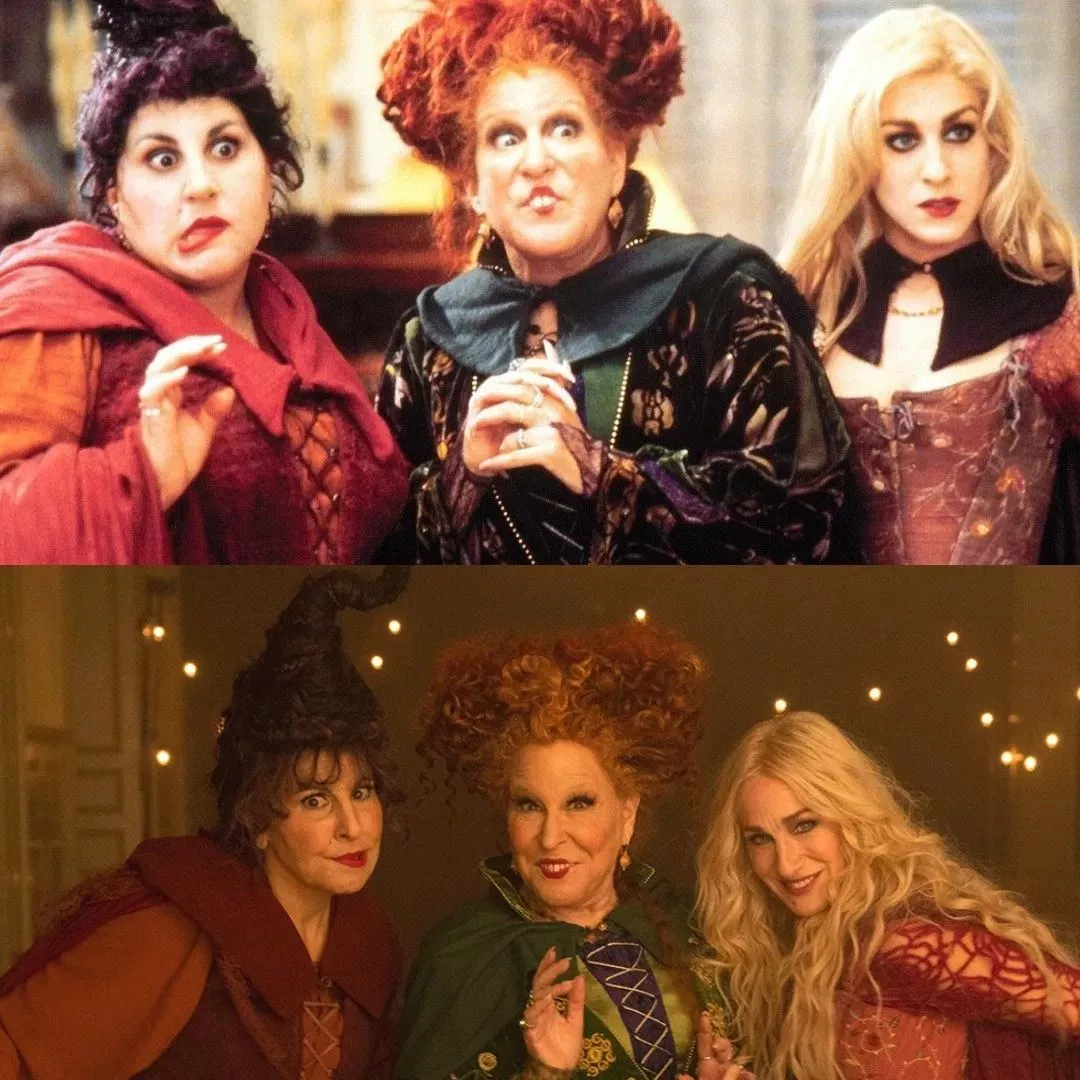 311042333_6081589751870106_155840332771926498_n