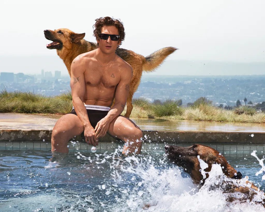 jeremy-allen-white-calvin-klein-88358498